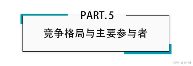 ：新家庭结构的消费镜像MG不朽情缘宠物经济(图9)